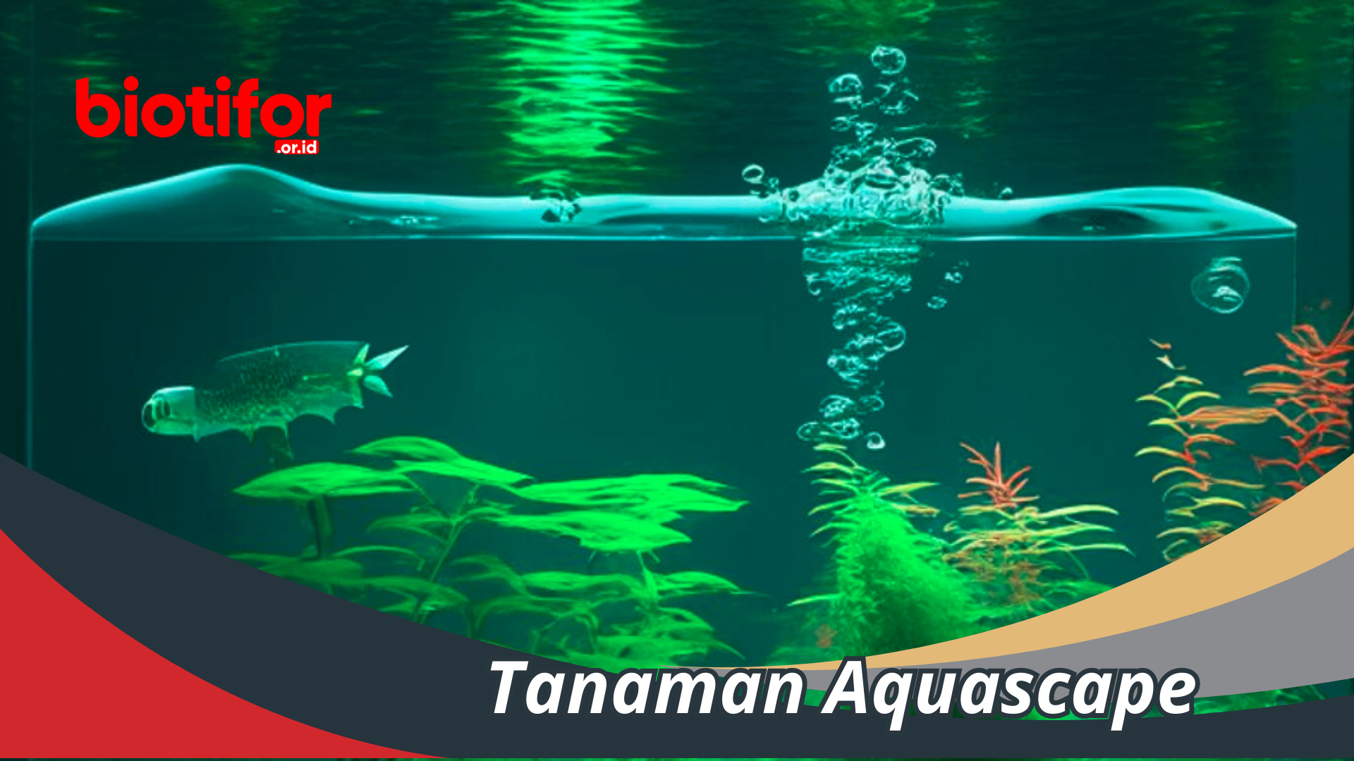 Tanaman Aquascape