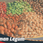 Tanaman Legum