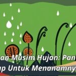 Tanaman Musim Hujan: Panduan Lengkap Untuk Menanamnya