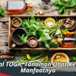 Tanaman Obat Keluarga