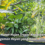 Tumbuhan Hutan Hujan Tropis: Keajaiban Keanekaragaman Hayati