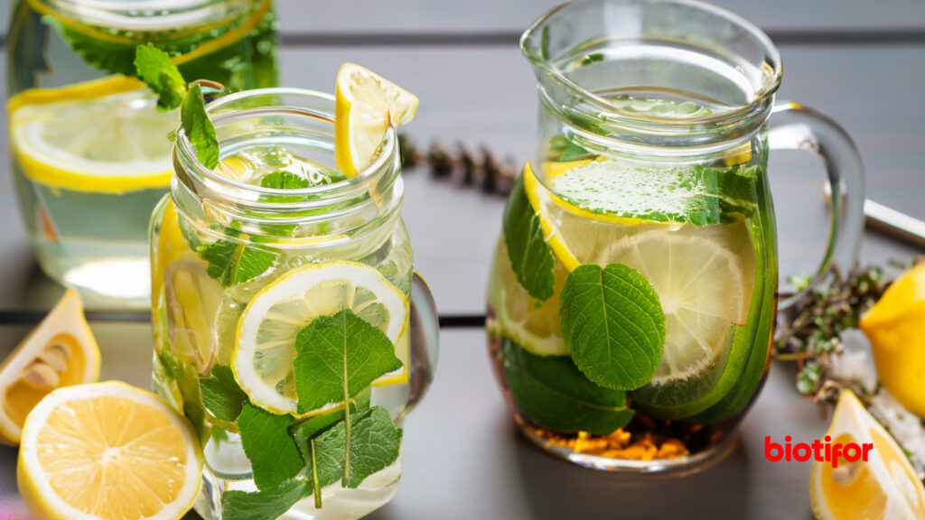 Manfaat Infused Water