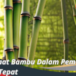 Manfaat Bambu