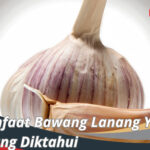 Manfaat Bawang Lanang