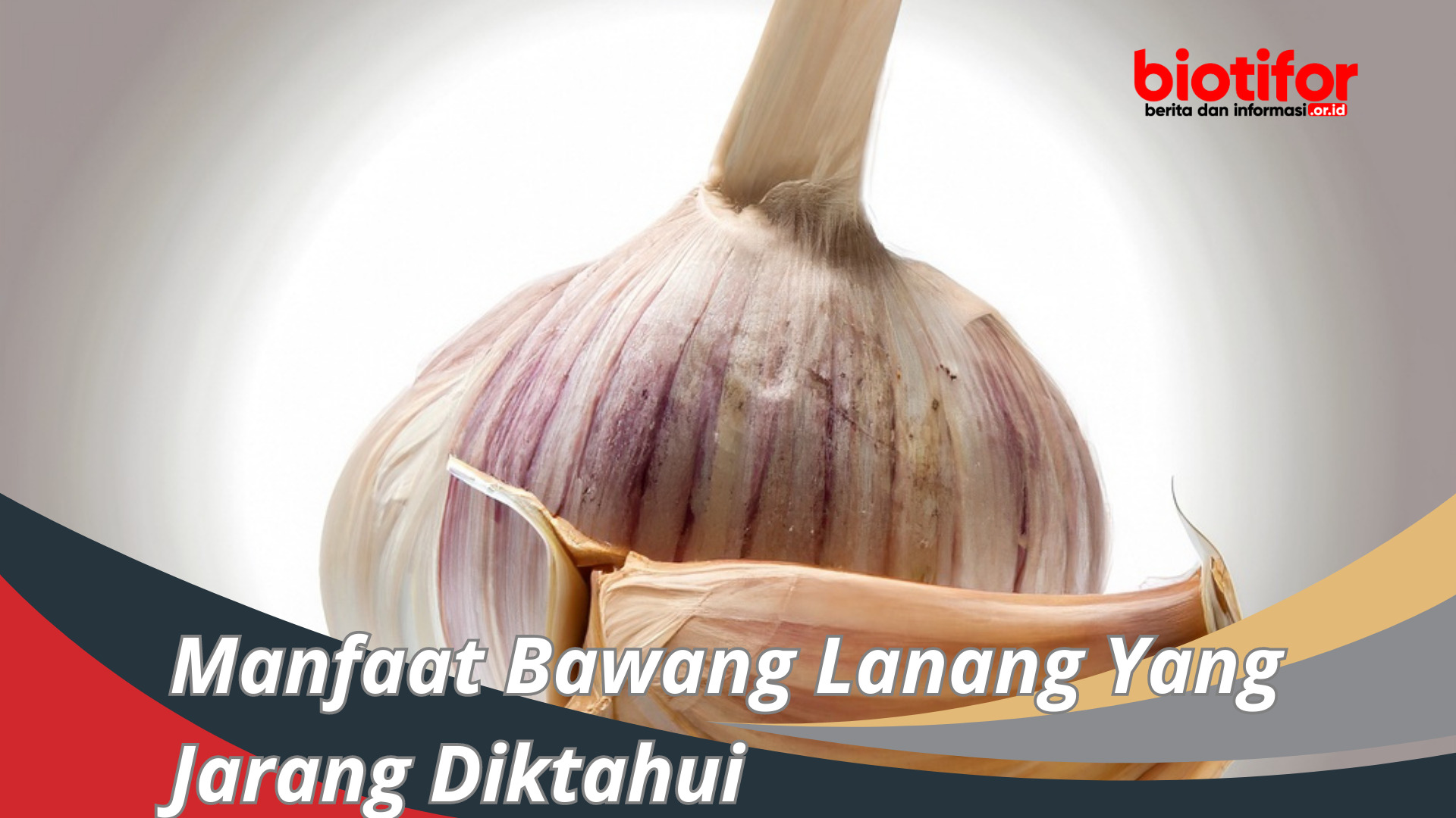 Manfaat Bawang Lanang