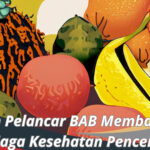 Buah Pelancar BAB