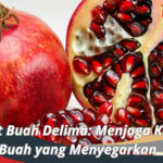 Manfaat Buah Delima