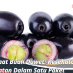 Buah duwet