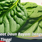 Manfaat Daun Bayam