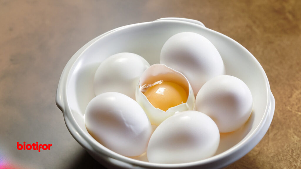 Manfaat dan Keuntungan Putih Telur untuk Kulit