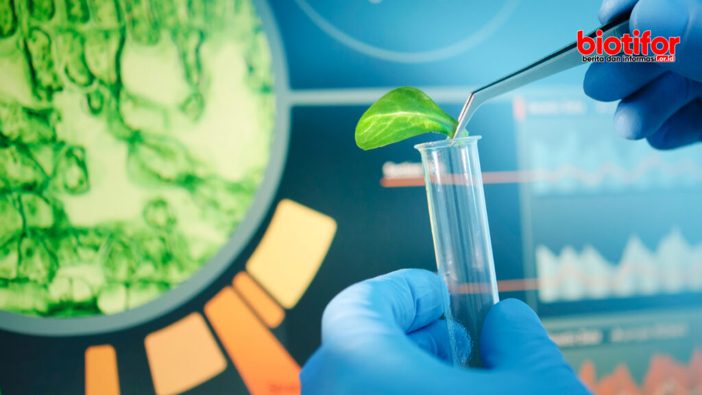apa itu bioteknologi