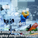 Contoh Bioteknologi Modern