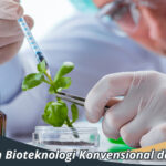 Perbedaan Bioteknologi Konvensional dan Modern