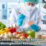 Contoh Bioteknologi Konvensional