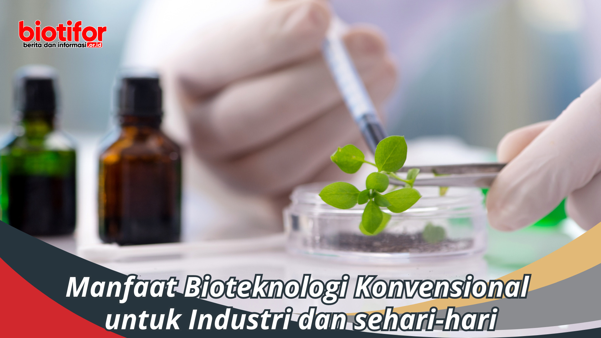 Manfaat Bioteknologi Konvensional untuk Industri dan sehari-hari