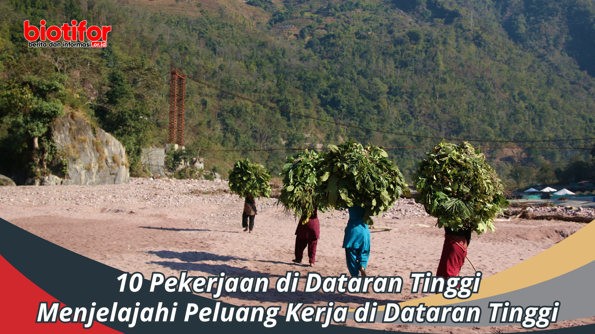 10 Pekerjaan di Dataran Tinggi: Peluang Kerja di Dataran Tinggi