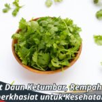 Manfaat Daun Ketumbar