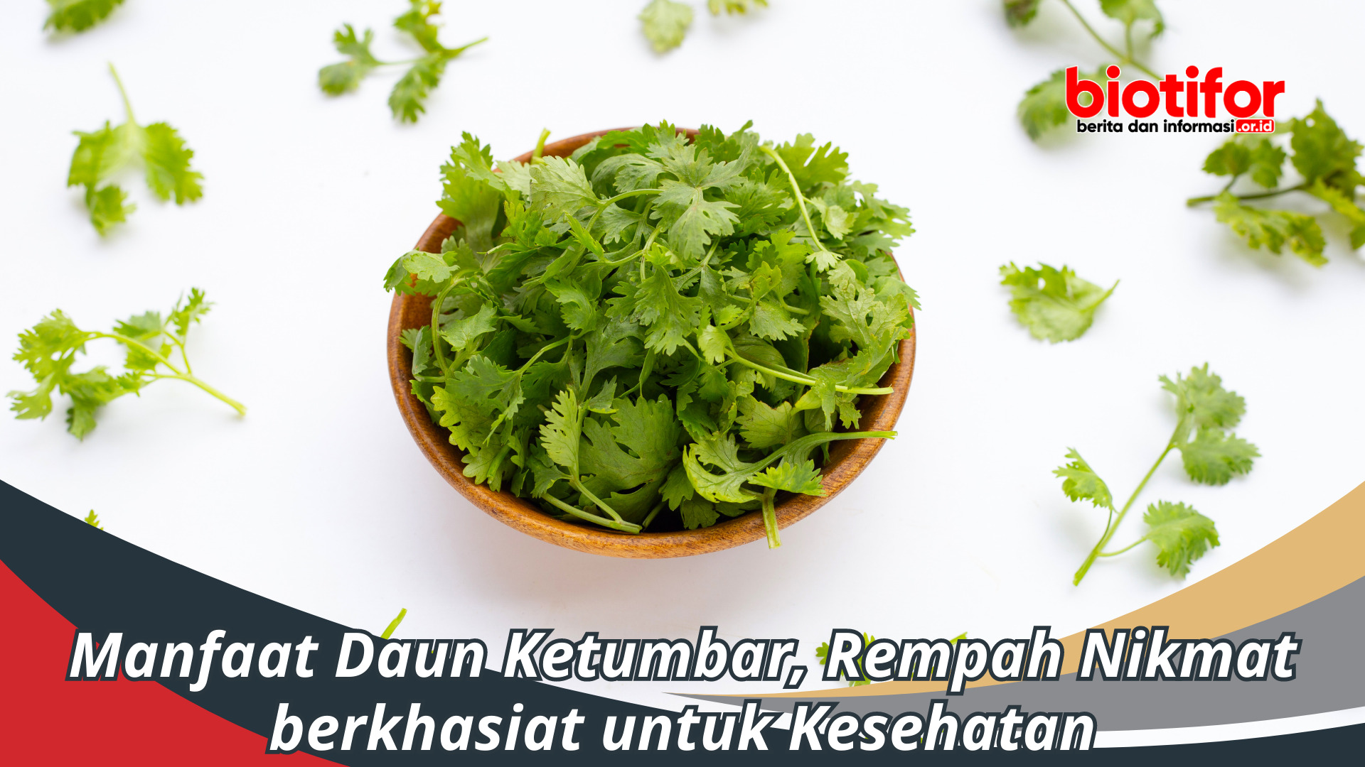 Manfaat Daun Ketumbar, Rempah Nikmat berkhasiat Kesehatan
