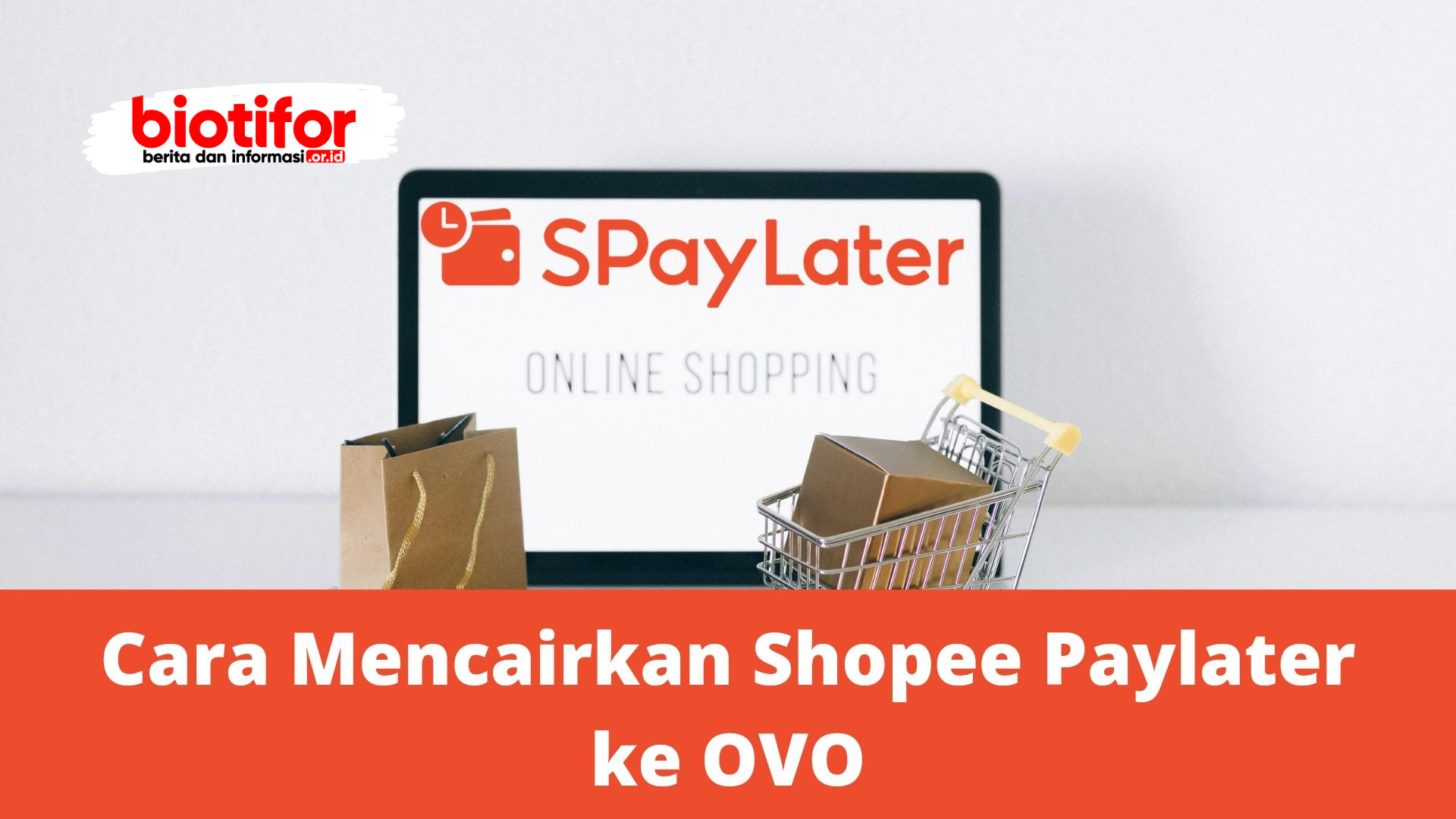 Apakah Bisa Mencairkan ShopeePay Later ke OVO