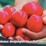 Buah Simalakama