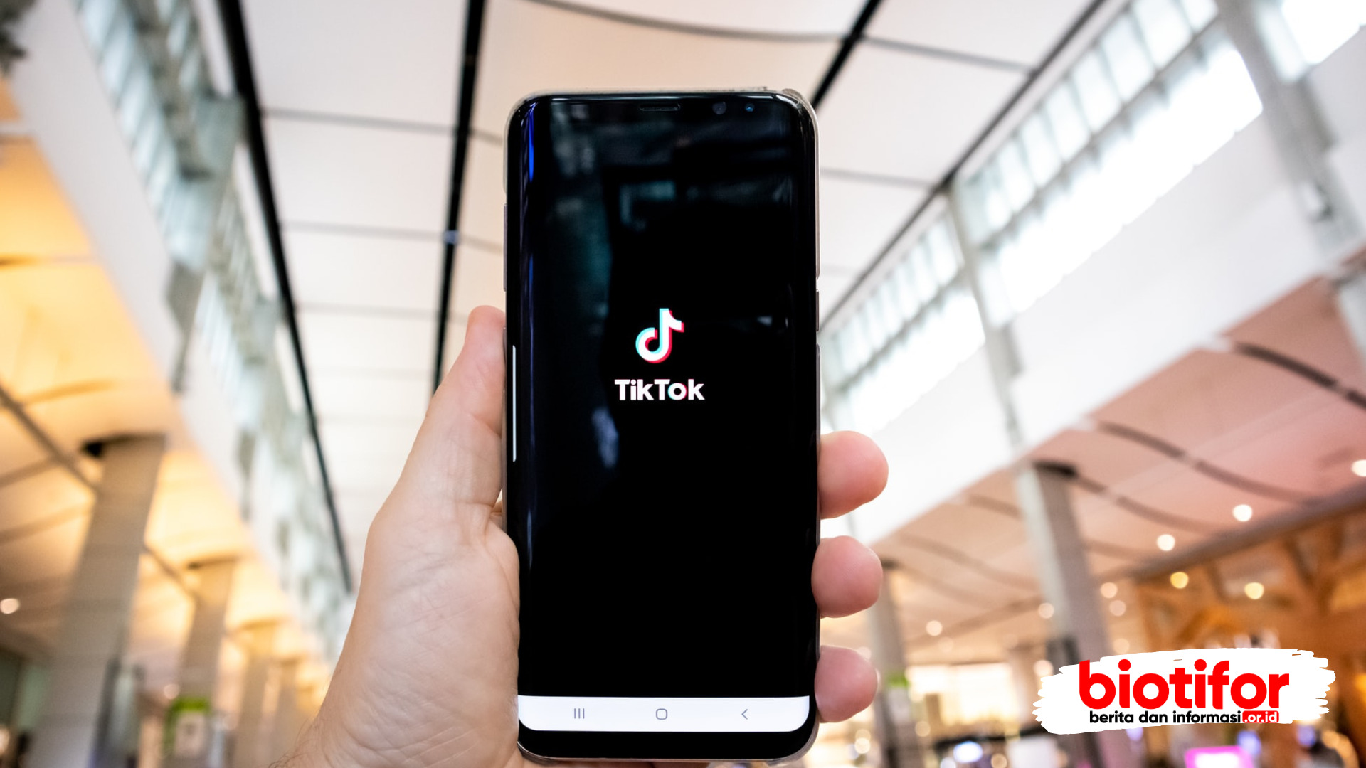 cara melihat penghasilan tiktok