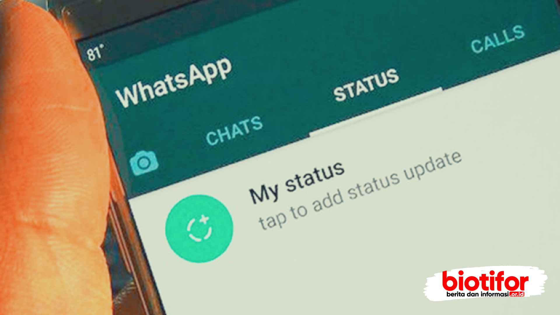 cara membuat status whatsApp