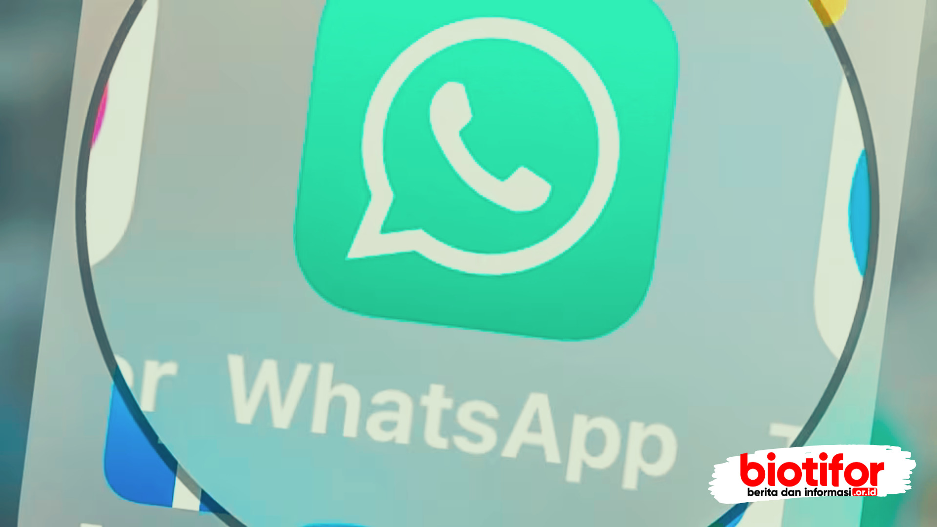 fungsi aplikasi whatsApp