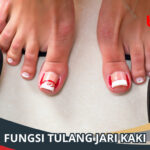 Fungsi Tulang Jari Kaki