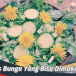 Jenis Bunga Yang Bisa Dimakan