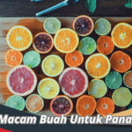 Buah Untuk Panas Dalam