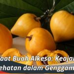 Manfaat Buah Alkesa: Keajaiban Kesehatan dalam Genggaman