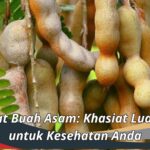 Manfaat Buah Asam: Khasiat Luar Biasa untuk Kesehatan Anda