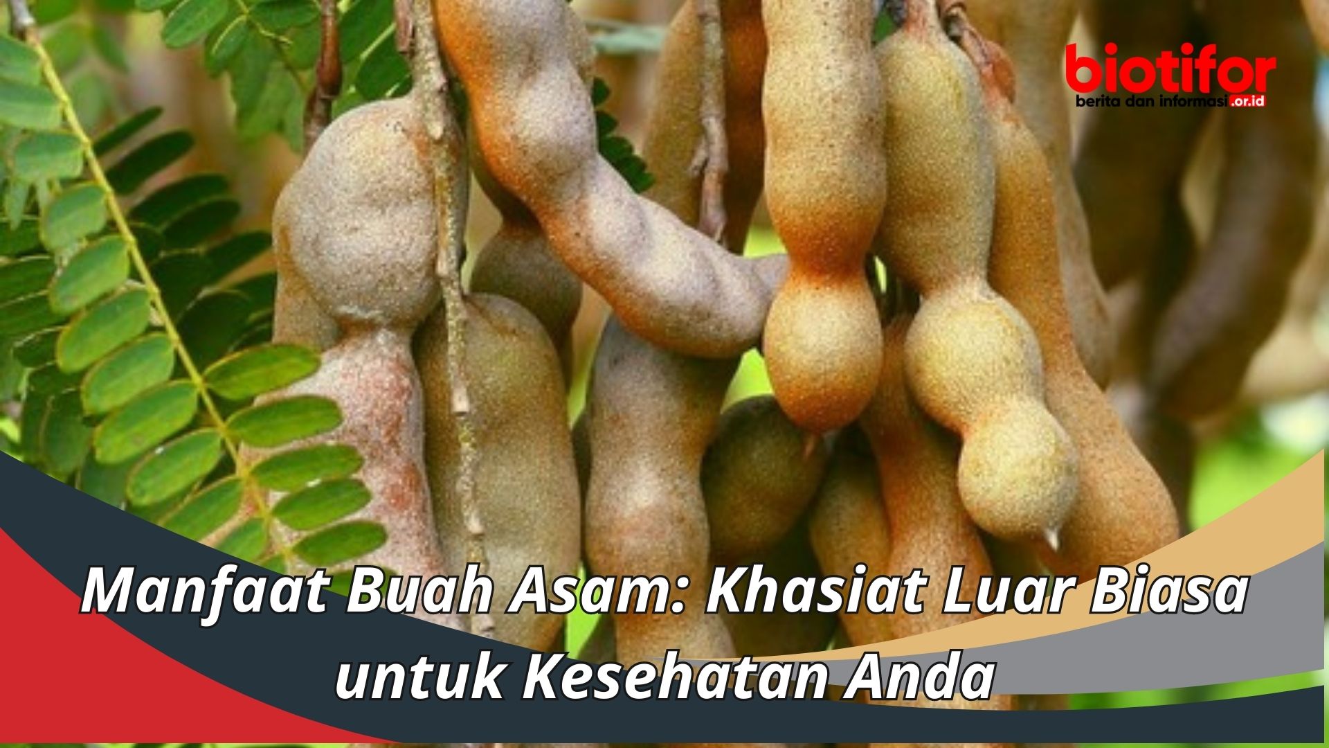 Manfaat Buah Asam: Khasiat Luar Biasa untuk Kesehatan Anda