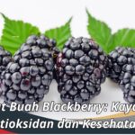 Manfaat Buah Blackberry: Kaya Akan Antioksidan dan Kesehatan
