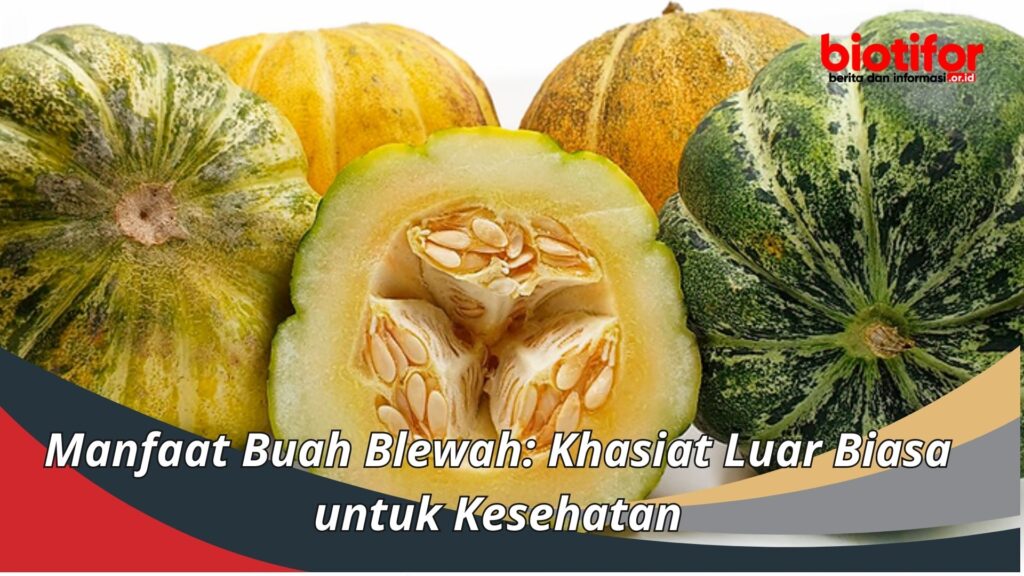 Keajaiban Buah Blewah: Nutrisi dan Manfaatnya untuk Kesehatan Tubuh Keajaiban Buah Blewah: Nutrisi dan Manfaatnya untuk Kesehatan Tubuh