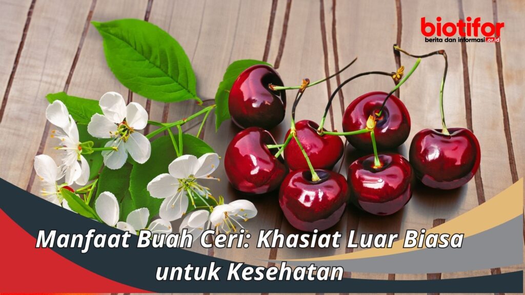 9 Manfaat Buah Ceri yang Luar Biasa untuk Kesehatan