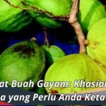 Manfaat Buah Gayam: Khasiat Luar Biasa yang Perlu Anda Ketahui