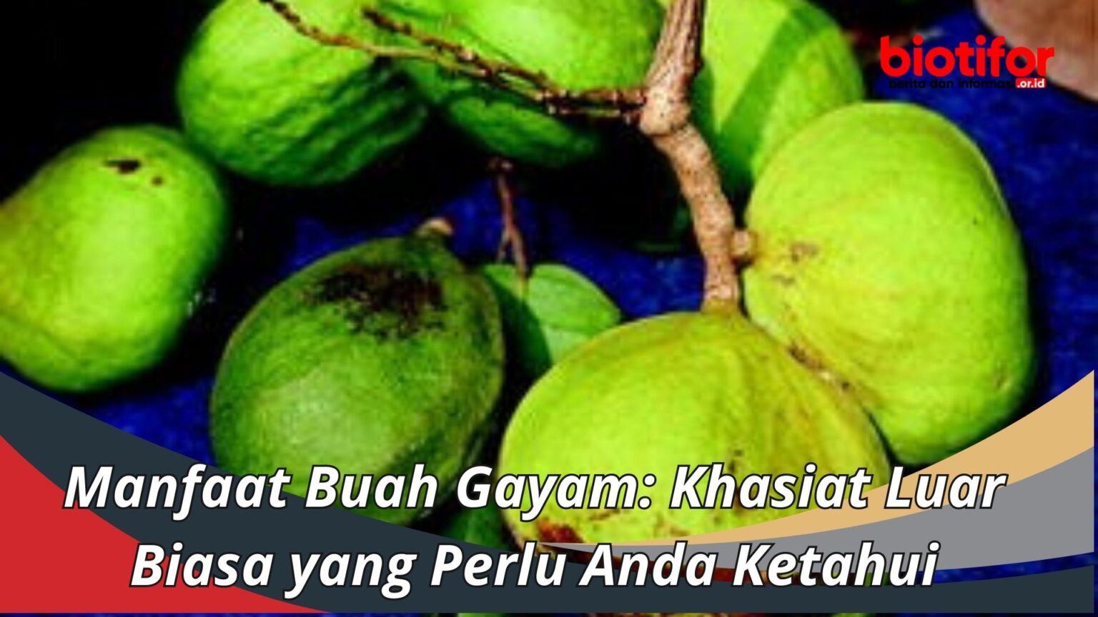 Manfaat Buah Gayam: Buah Tropis dengan Khasiat yang Menakjubkan