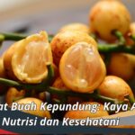 Manfaat Buah Kepundung: Kaya Akan Nutrisi dan Kesehatan