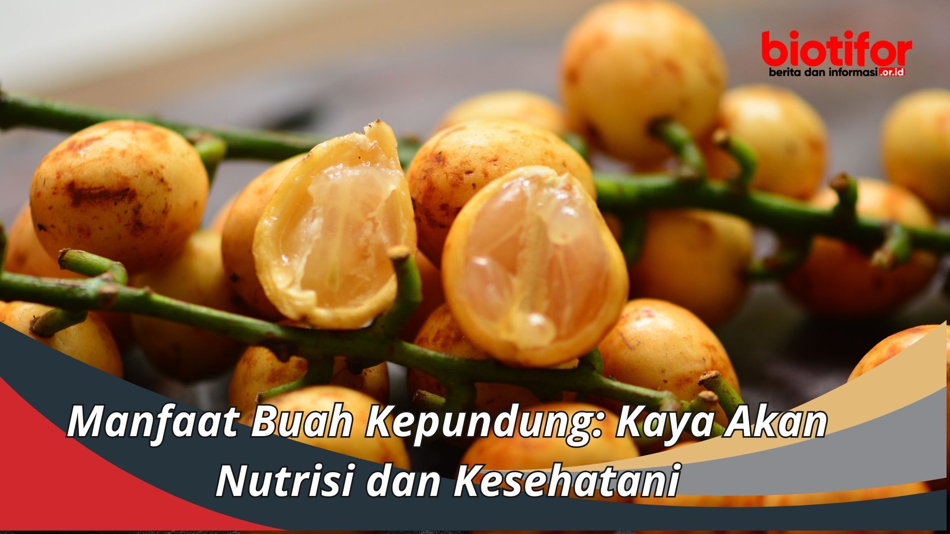 Manfaat Buah Kepundung: Kaya Akan Nutrisi dan Kesehatan