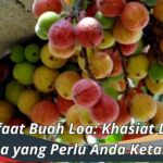 Manfaat Buah Loa: Khasiat Luar Biasa yang Perlu Anda Ketahui