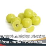 Manfaat Buah Malaka: Khasiat Luar Biasa untuk Kesehatan