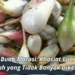 https://www.biotifor.or.id/manfaat-buah-berenuk/