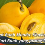 Manfaat Buah Mundu: Khasiat Luar Biasa dari Buah yang Jarang Dikenal