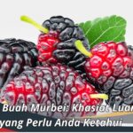 Manfaat Buah Murbei: Khasiat Luar Biasa yang Perlu Anda Ketahui