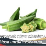 Manfaat Buah Okra: Khasiat Luar Biasa untuk Kesehatan