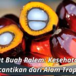 Manfaat Buah Palem: Kesehatan dan Kecantikan dari Alam Tropis