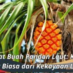 Manfaat Buah Pandan Laut: Khasiat Luar Biasa dari Kekayaan Laut