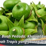 Manfaat Buah Pedada: Khasiat Luar Biasa dari Buah Tropis yang Jarang Diketahui