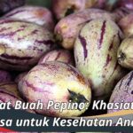 Manfaat Buah Pepino: Khasiat Luar Biasa untuk Kesehatan Anda